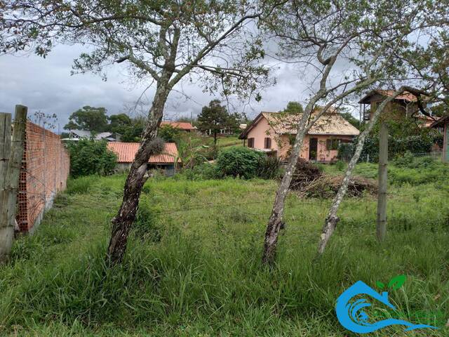 #31 - Área para Venda em Imbituba - SC - 3
