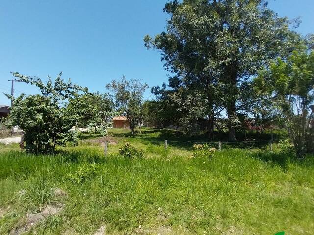 #131 - Prédio comercial para Venda em Imbituba - SC - 1