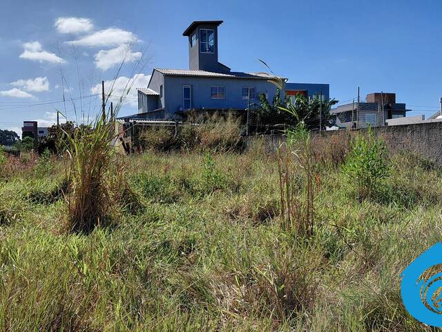 Área para Venda em Imbituba - 5