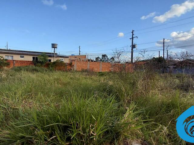 #287 - Casa para Venda em Imbituba - SC - 3