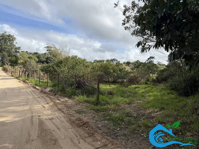 Área para Venda em Imbituba - 4