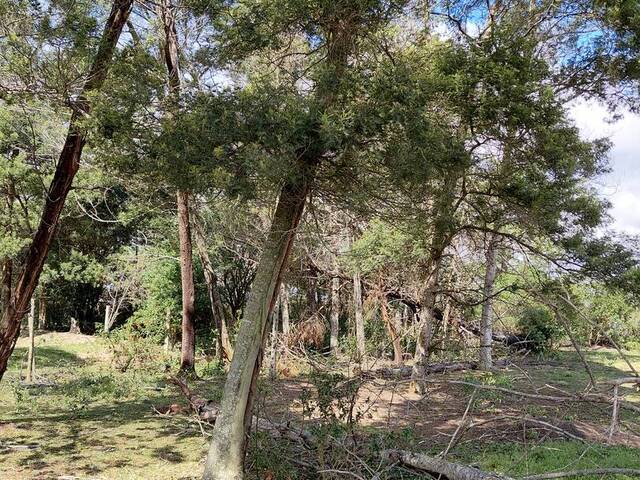 #294 - Área para Venda em Imbituba - SC - 3