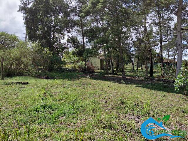 Área para Venda em Imbituba - 4