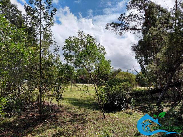 #294 - Área para Venda em Imbituba - SC - 2