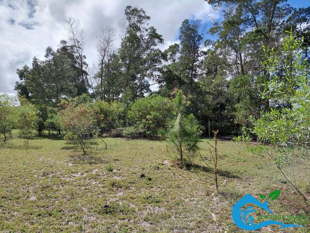 Área para Venda em Imbituba - 5