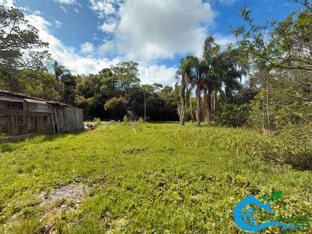 Área para Venda em Imbituba - 5