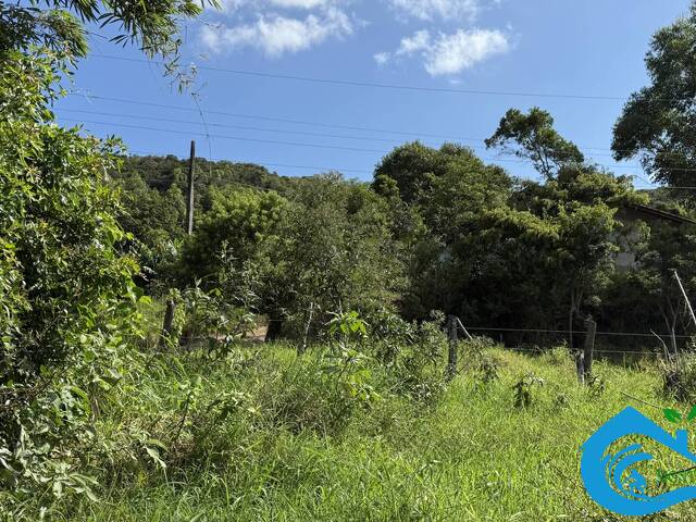 #302 - Terreno para Venda em Imaruí - SC - 2