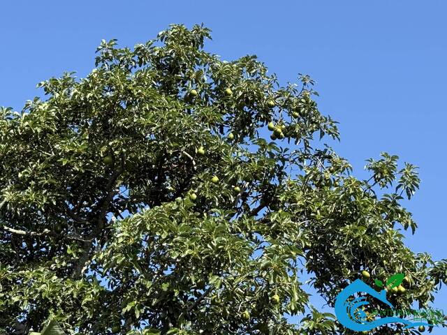 #302 - Terreno para Venda em Imaruí - SC - 3